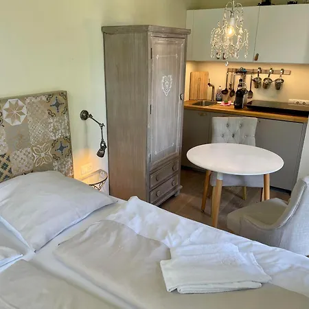 Ciao-aschau Haus Zur Burg Studio-ap101 Appartement *